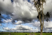 开云体育中国-绿茵无定式：当足球拒绝剧本