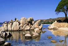 开云体育官方网站-卡尔蒂斯外援状态火爆，助力球队冲击最高荣誉