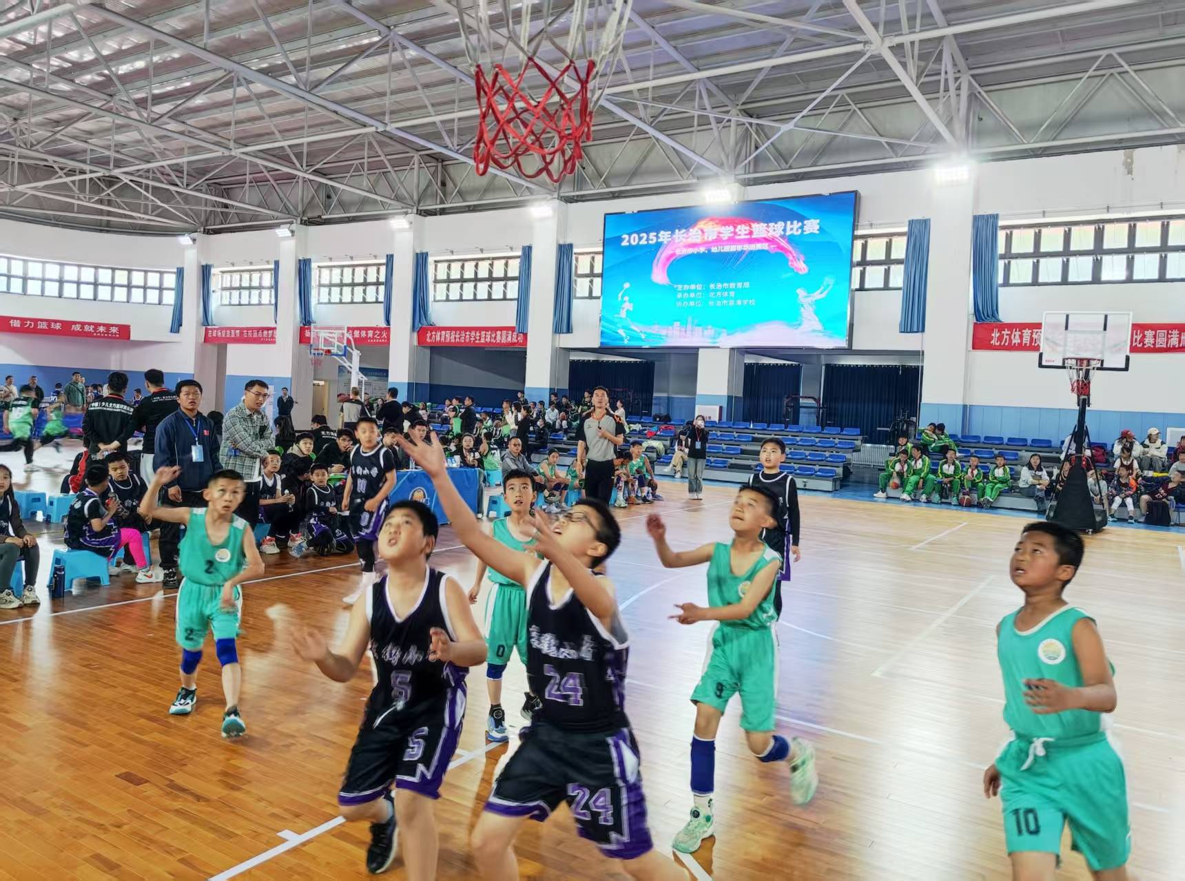 开云APP-体育界掀起篮球热潮，赛事观赏性强