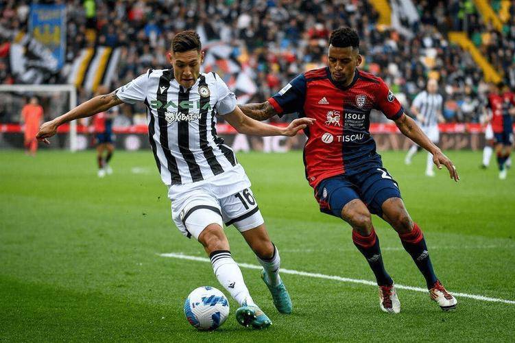 乌迪内斯主场获胜,继续领先 乌迪内斯主场获胜,继续领先