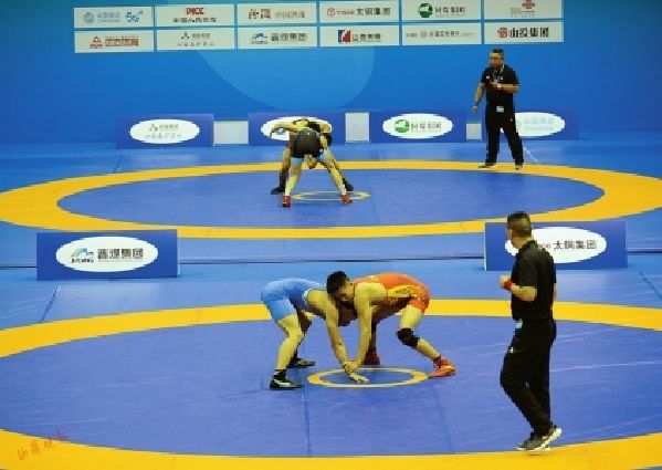 瑞典代表队斩获金牌，喜获佳绩