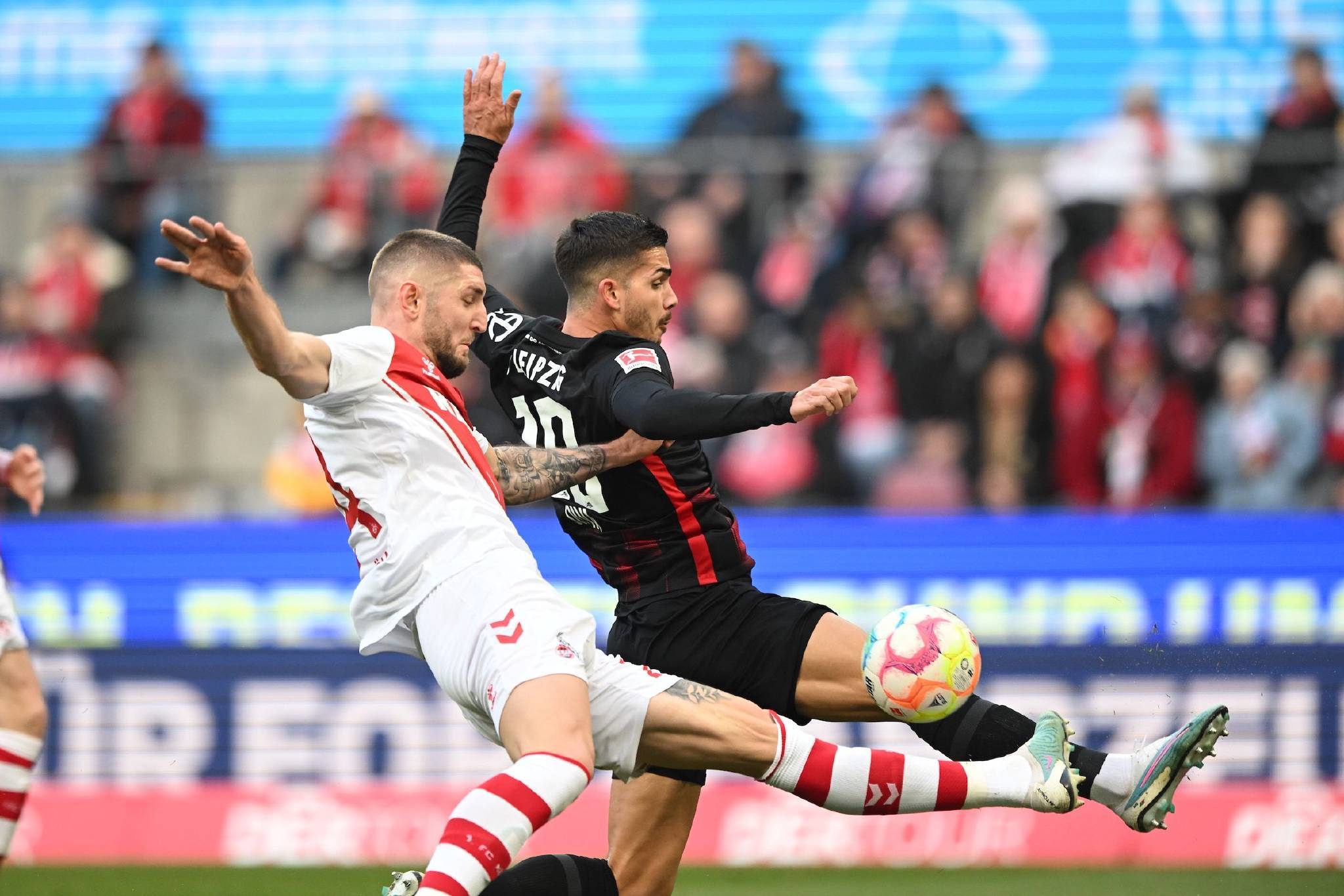 开云体育APP下载-法兰克福主帅看好球队未来发展