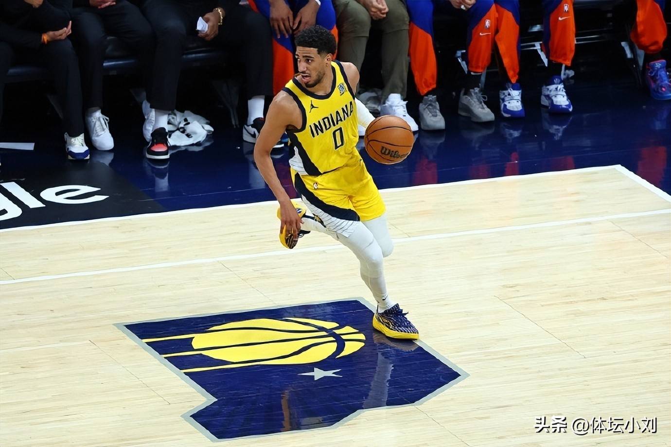 黑马球队逆袭，取得惊人的胜利