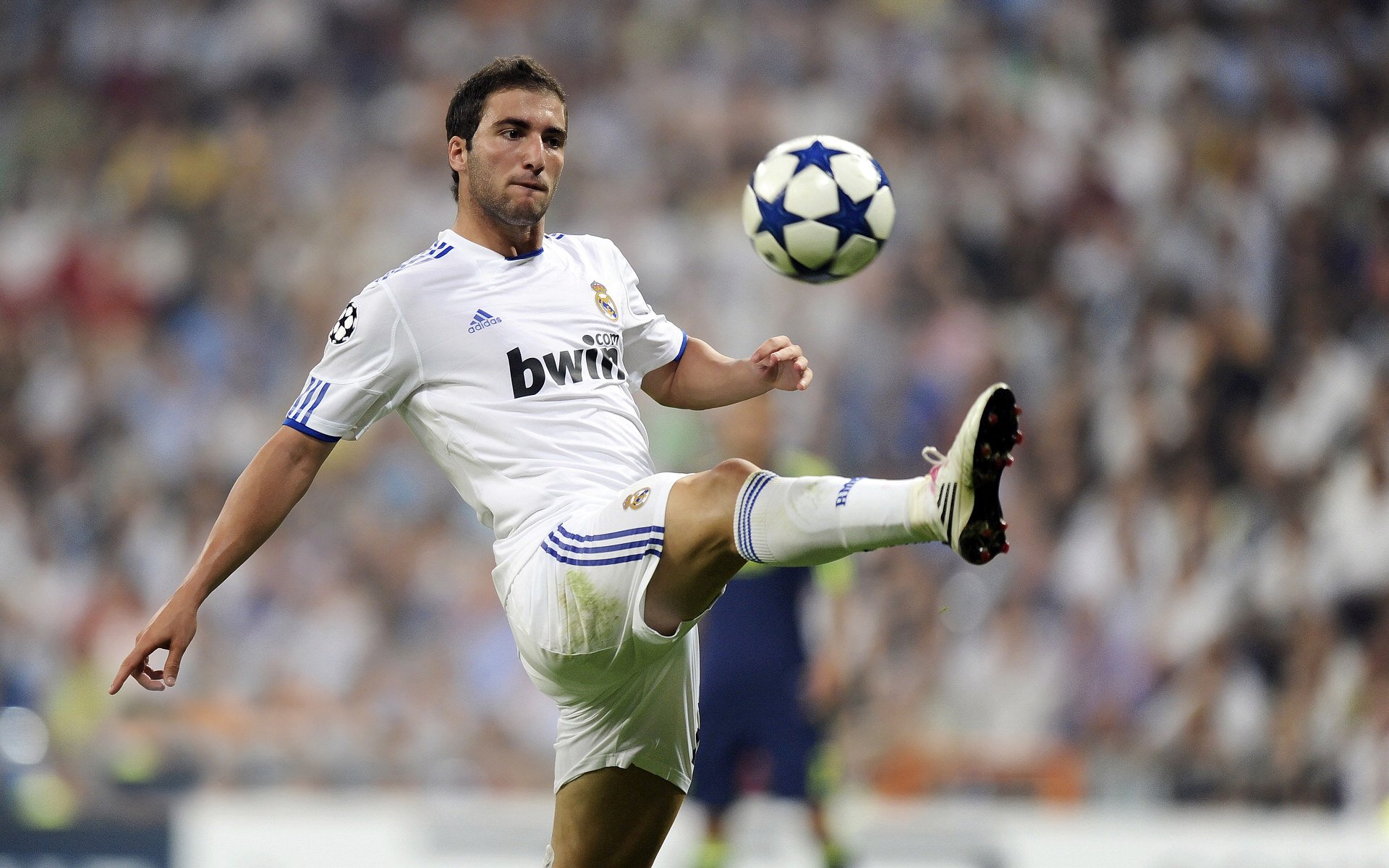 平行时空的红土绝杀,戴维斯杯与蒙特卡洛的鲁德双线叙事